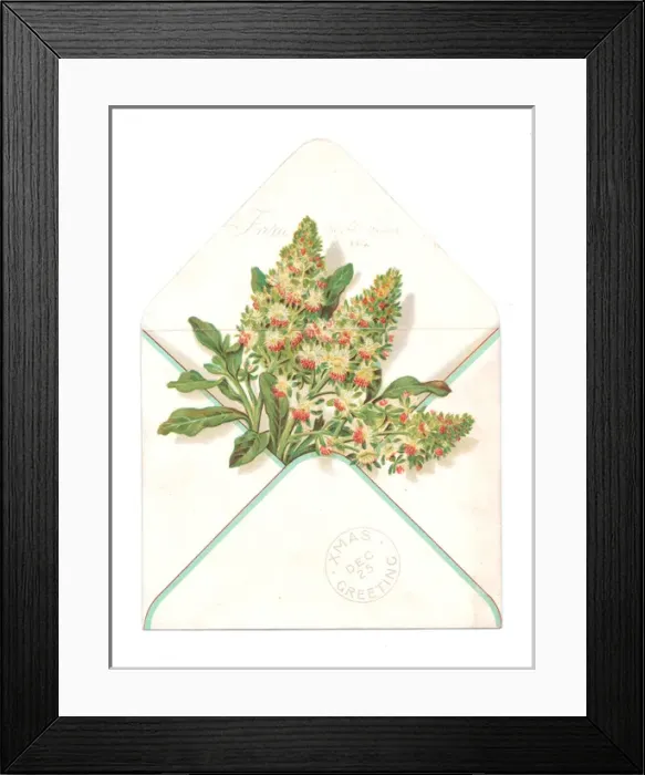Framed Print : Envelope containing flowers on a Christmas card Framed Print : Envelope containing flowers on a Christmas card