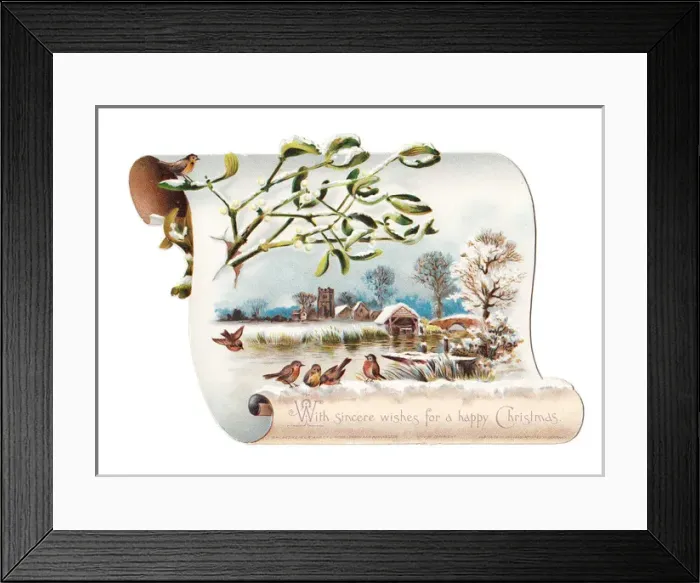 Framed Print : Robins on a scroll-shaped Christmas card Framed Print : Robins on a scroll-shaped Christmas card