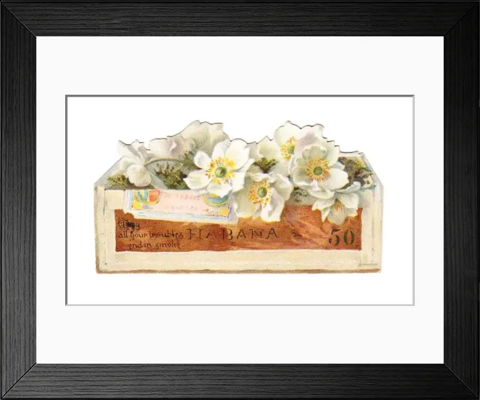 Framed Print : Greetings card in the shape of a cigar box Framed Print : Greetings card in the shape of a cigar box