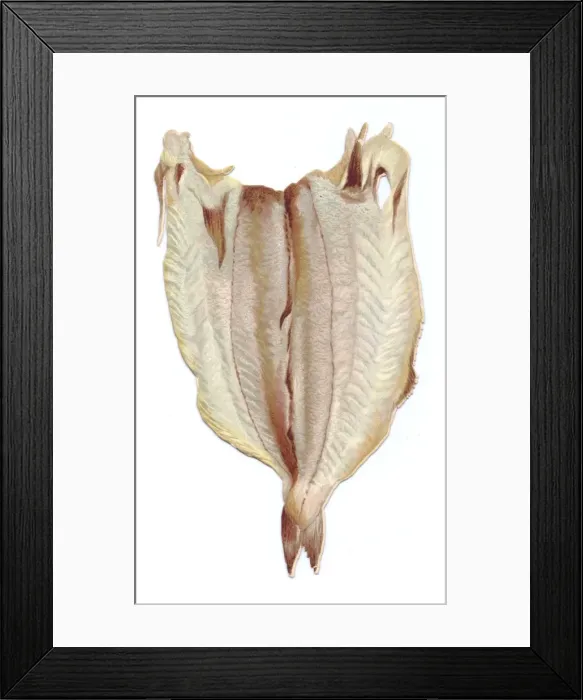 Framed Print : Greetings card in the shape of filleted white fish Framed Print : Greetings card in the shape of filleted white fish