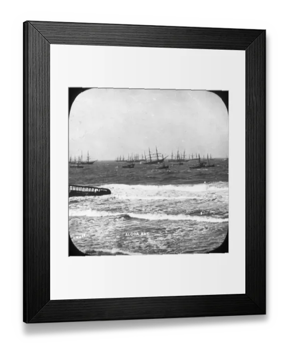 Framed Print : South Africa Cape Colony - Algoa Bay Framed Print : South Africa Cape Colony - Algoa Bay