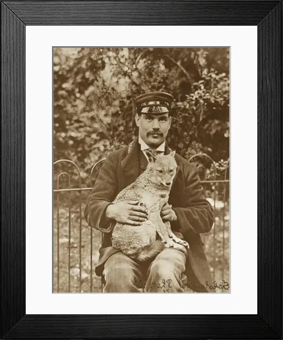 Framed Print : Zoo - keeper with fox Framed Print : Zoo - keeper with fox