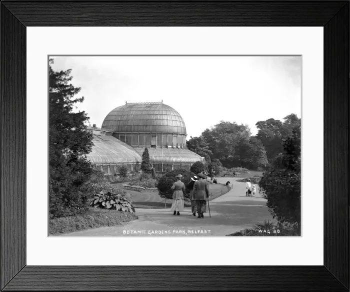 Framed Print : Botanic Gardens Park, Belfast Framed Print : Botanic Gardens Park, Belfast