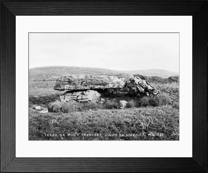 Framed Print : Leaba Na Muice Cromlech, Lough Gur, Co Limerick Framed Print : Leaba Na Muice Cromlech, Lough Gur, Co Limerick