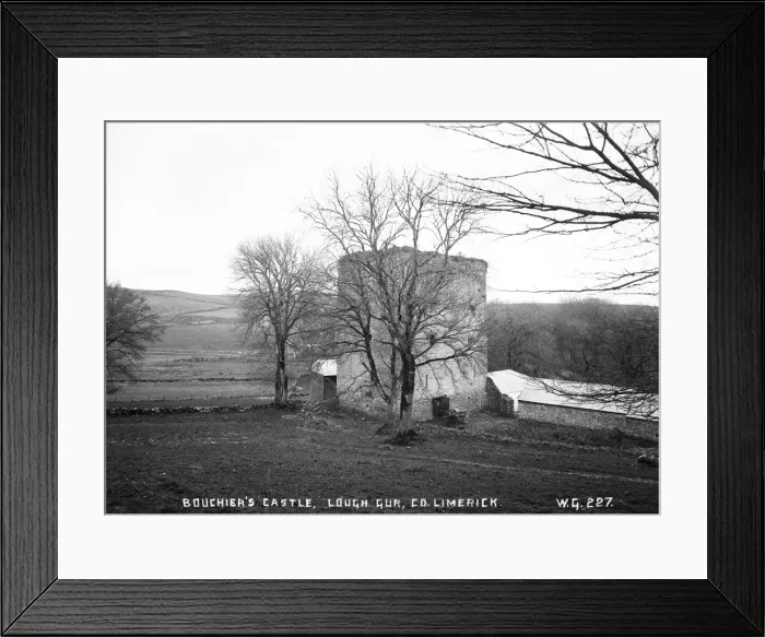 Framed Print : Bouchiers Castle, Lough Gur, Co Limerick Framed Print : Bouchiers Castle, Lough Gur, Co Limerick