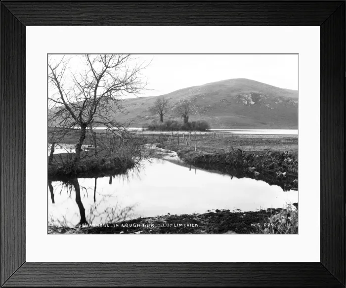 Framed Print : Crannogue in Lough Gur, Co Limerick Framed Print : Crannogue in Lough Gur, Co Limerick