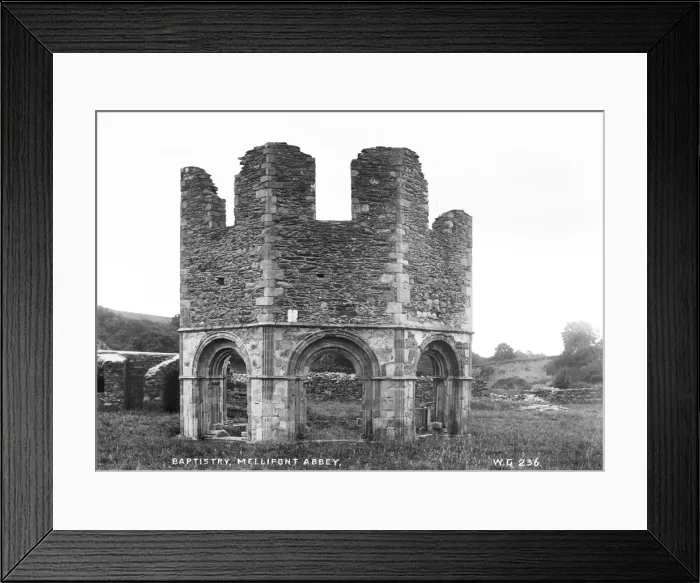 Framed Print : Baptistery, Mellifont Abbey