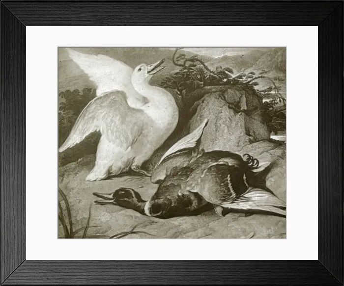 Framed Print : Animals at a French Zoo - The Winner Framed Print : Animals at a French Zoo - The Winner