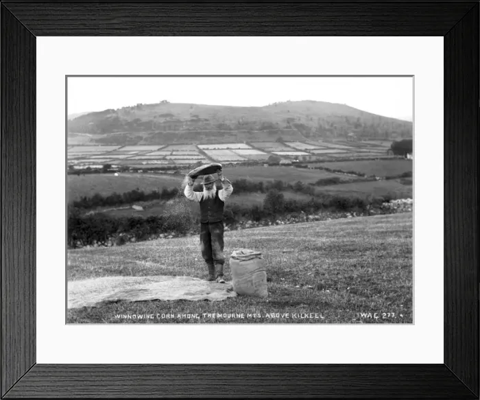 Framed Print : Winnowing Corn Amongst the Mourne Mountains Above Kilkeel Framed Print : Winnowing Corn Amongst the Mourne Mountains Above Kilkeel