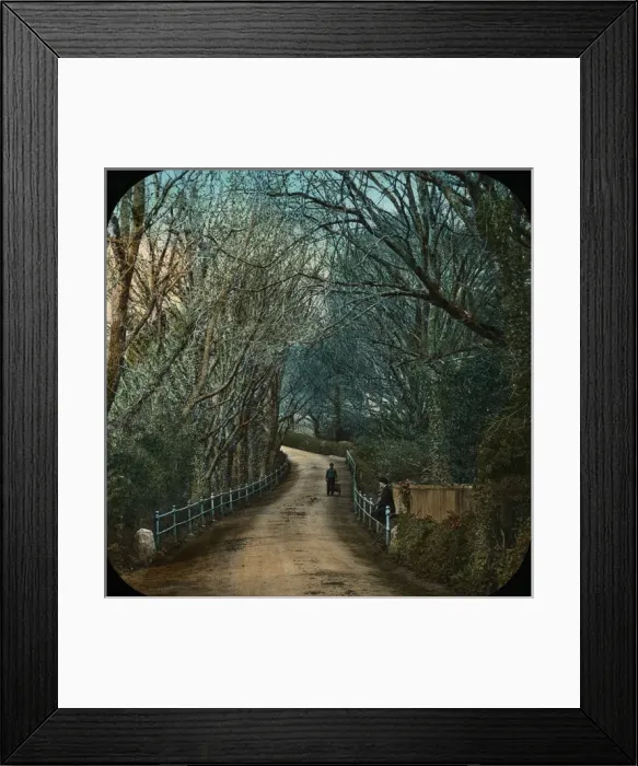 Framed Print : The Channel Islands - Road at Rozel Manor Framed Print : The Channel Islands - Road at Rozel Manor