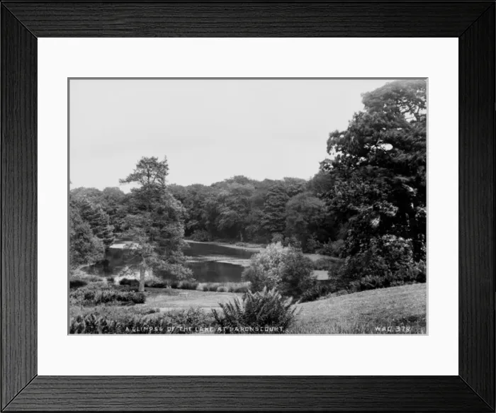 Framed Print : A Glimpse of the Lake at Baronscourt Framed Print : A Glimpse of the Lake at Baronscourt