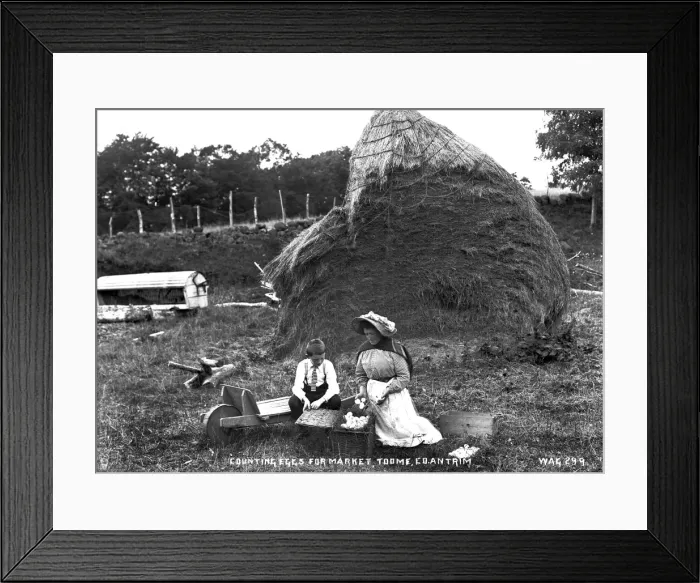 Framed Print : Counting Eggs for Market, Toome Co Antrim Framed Print : Counting Eggs for Market, Toome Co Antrim