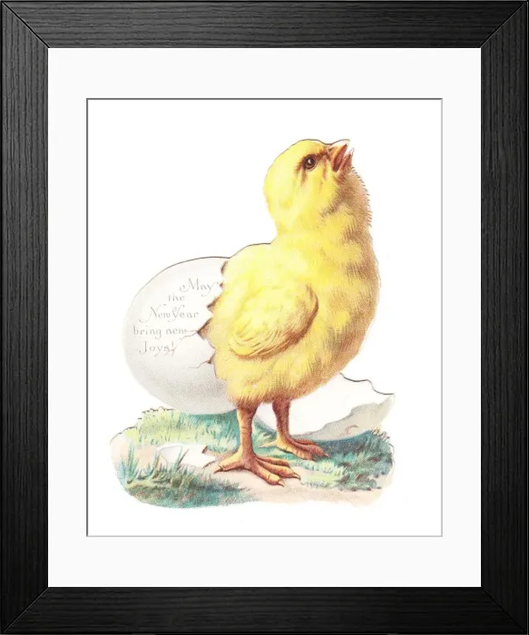 Framed Print : Chick hatching on a cutout New Year card Framed Print : Chick hatching on a cutout New Year card