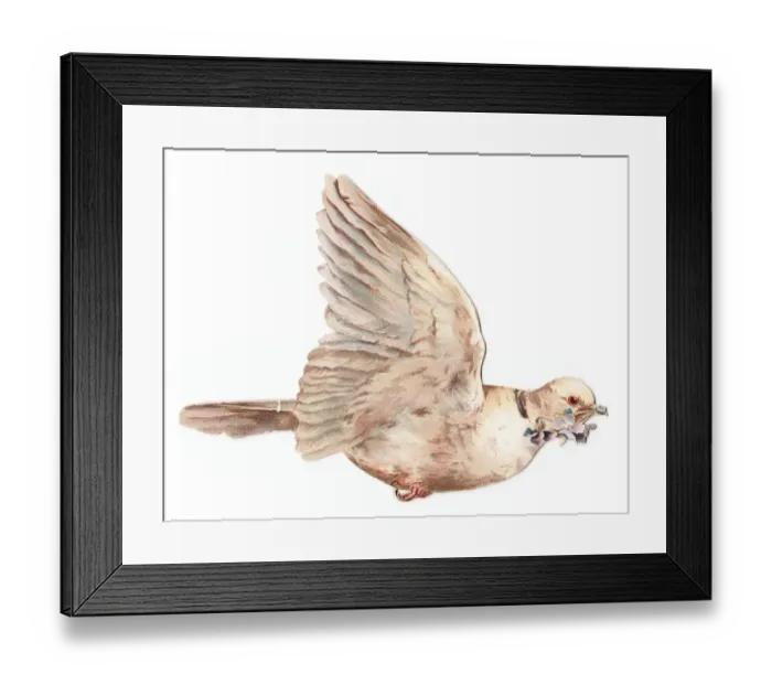 Framed Print : White dove with flowers on a bird-shaped greetings card Framed Print : White dove with flowers on a bird-shaped greetings card