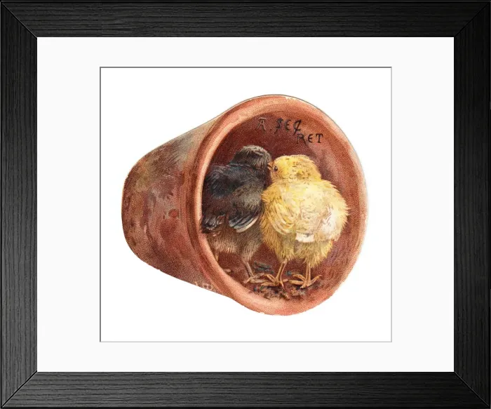 Framed Print : Two chicks in a plantpot on a cutout greetings card Framed Print : Two chicks in a plantpot on a cutout greetings card
