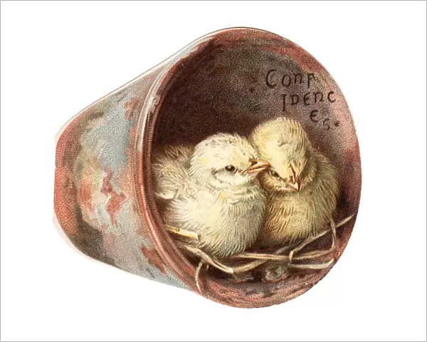 Two chicks in a plantpot on a cutout greetings card
