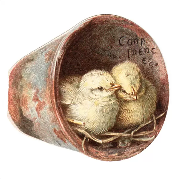 Two chicks in a plantpot on a cutout greetings card