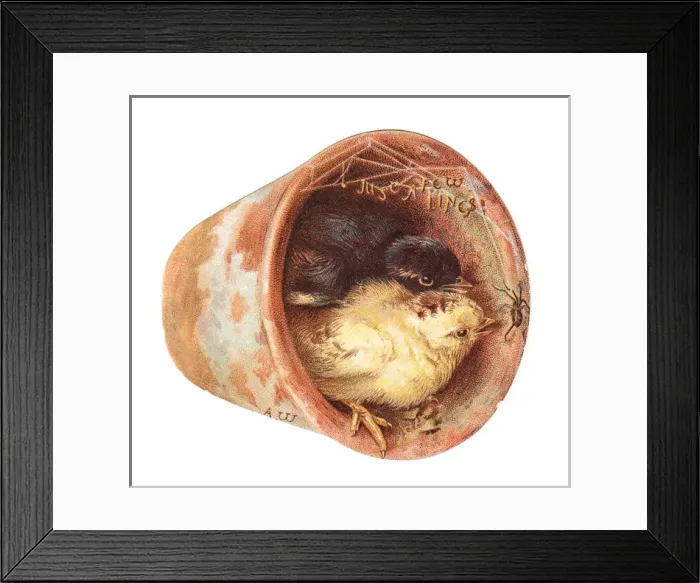 Framed Print : Two chicks in a plantpot on a cutout greetings card Framed Print : Two chicks in a plantpot on a cutout greetings card
