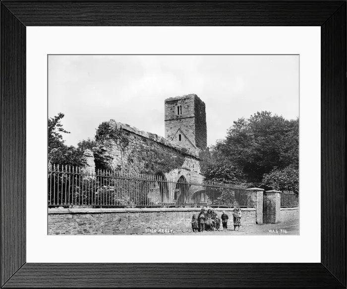Framed Print : Sligo Abbey Framed Print : Sligo Abbey