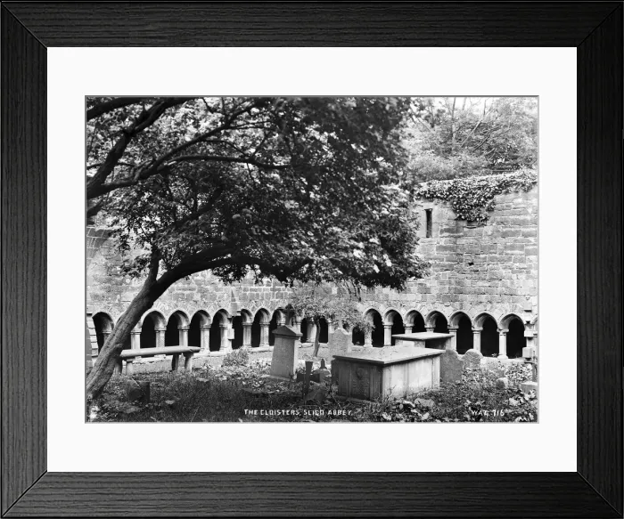 Framed Print : The Cloisters, Sligo Abbey Framed Print : The Cloisters, Sligo Abbey