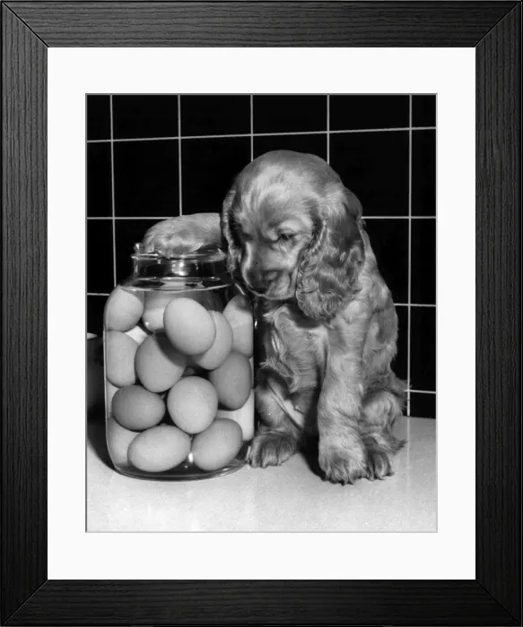 Framed Print : Susi - with a jar of eggs Framed Print : Susi - with a jar of eggs