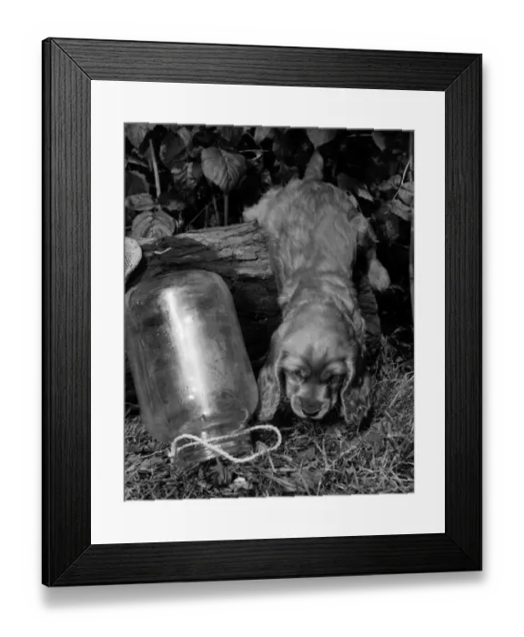 Framed Print : Susi - with an empty jar Framed Print : Susi - with an empty jar