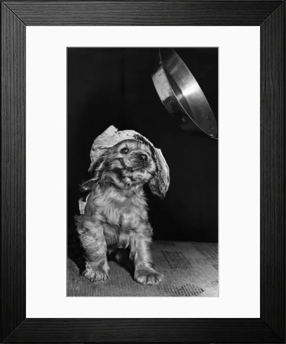 Framed Print : Susi - with pancake and frying pan Framed Print : Susi - with pancake and frying pan