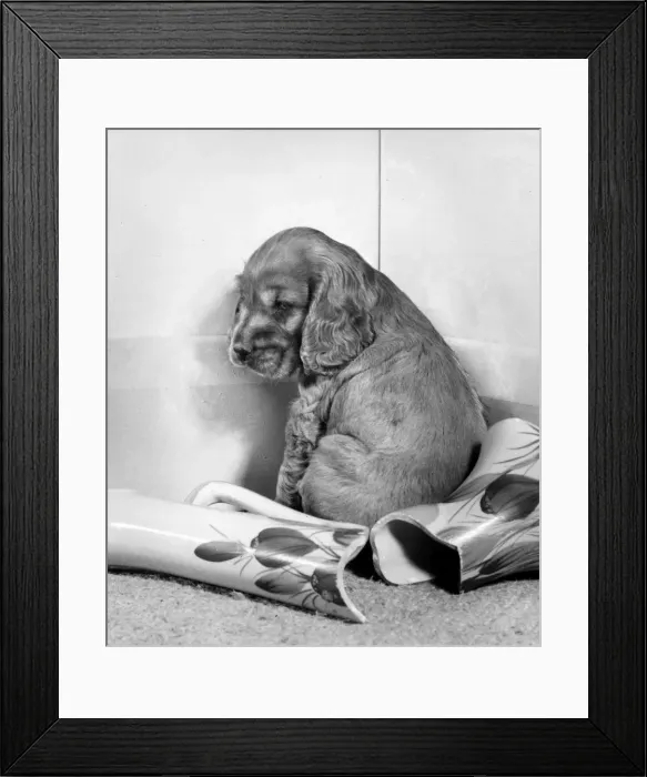 Framed Print : Susi - with a broken vase Framed Print : Susi - with a broken vase
