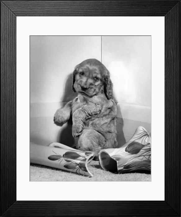 Framed Print : Susi - with a broken vase Framed Print : Susi - with a broken vase