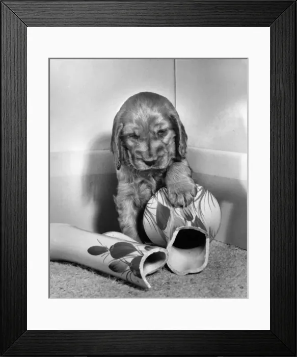 Framed Print : Susi - with a broken vase Framed Print : Susi - with a broken vase