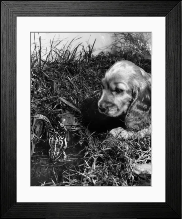 Framed Print : Susi - finding a frog Framed Print : Susi - finding a frog