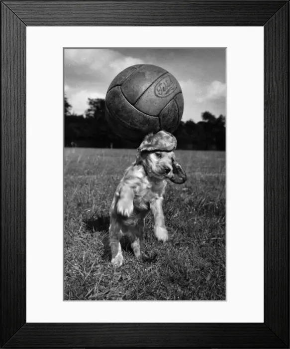 Framed Print : Susi - having fun with a football Framed Print : Susi - having fun with a football