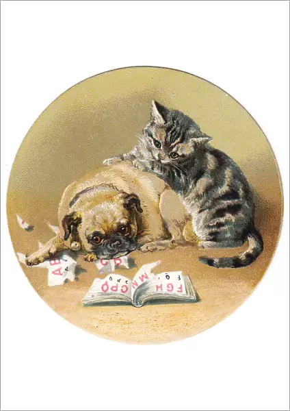 Cat and dog on a circular greetings card