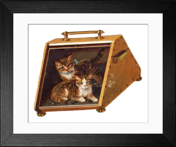 Framed Print : Greetings card in the shape of a coal scuttle with cats Framed Print : Greetings card in the shape of a coal scuttle with cats