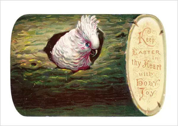 Easter card in the shape of a log with cockatoo