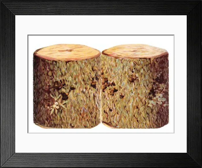Framed Print : Christmas card in the shape of a yule log Framed Print : Christmas card in the shape of a yule log