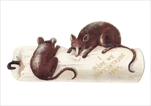 Candle and two mice on a cutout greetings card