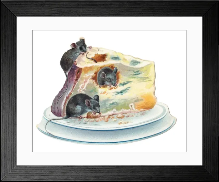 Framed Print : Three mice eating cheese on a cutout greetings card Framed Print : Three mice eating cheese on a cutout greetings card