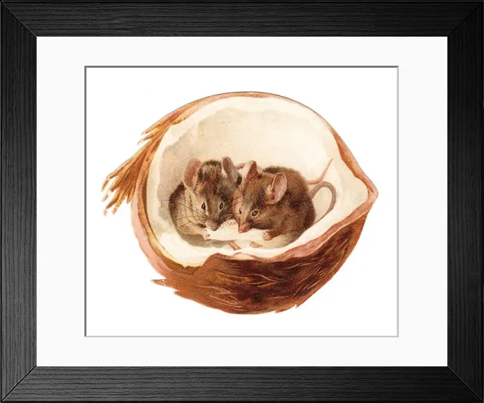 Framed Print : Two mice inside a coconut on a cutout greetings card Framed Print : Two mice inside a coconut on a cutout greetings card