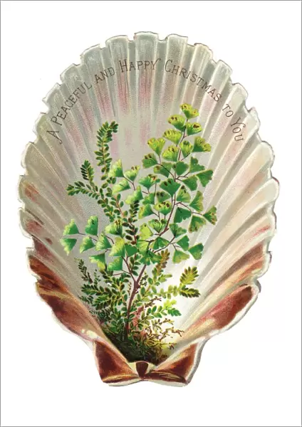 Green foliage in a shell-shaped Christmas card