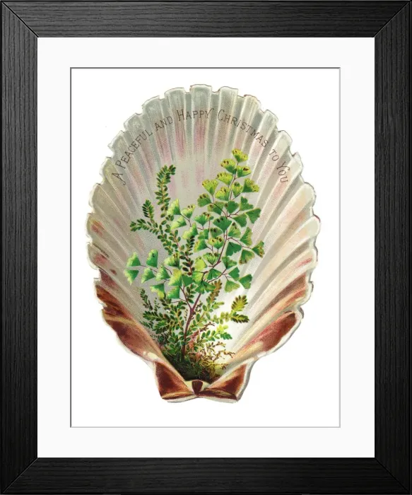 Framed Print : Green foliage in a shell-shaped Christmas card Framed Print : Green foliage in a shell-shaped Christmas card