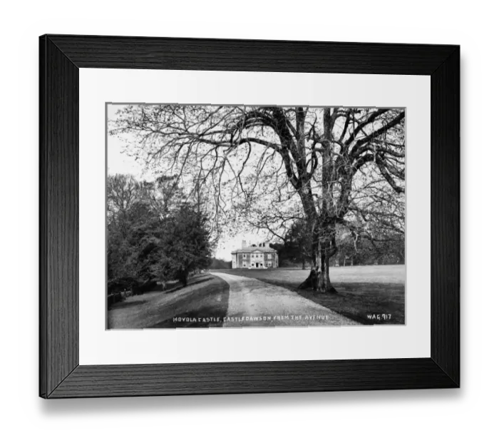 Framed Print : Moyola Castle, Castledawson, from the Avenue Framed Print : Moyola Castle, Castledawson, from the Avenue