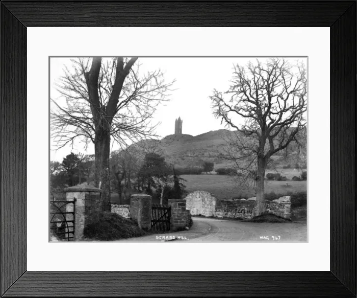 Framed Print : Scrabo Hill Framed Print : Scrabo Hill