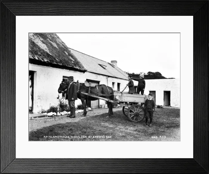 Framed Print : An Islandmagee Wheelcar at Browns Bay Framed Print : An Islandmagee Wheelcar at Browns Bay