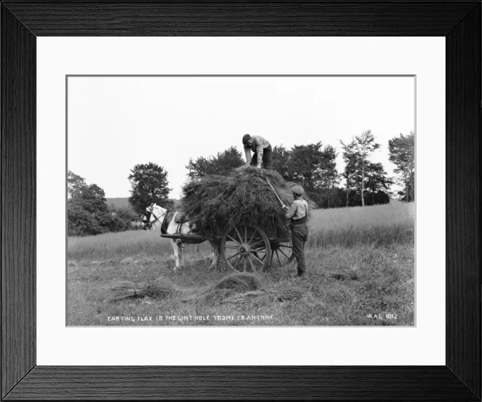 Framed Print : Carting Flax to the Linthole, Toome, Co. Antrim Framed Print : Carting Flax to the Linthole, Toome, Co. Antrim