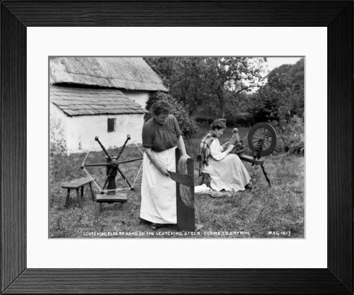 Framed Print : Scutching Flax By Hand on the Scutching Stock, Toome, Co. An Framed Print : Scutching Flax By Hand on the Scutching Stock, Toome, Co. An