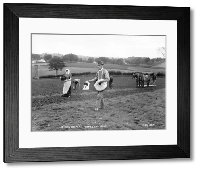 Framed Print : Sowing the Flax, Toome, Co. Antrim Framed Print : Sowing the Flax, Toome, Co. Antrim