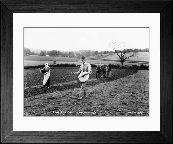 Framed Print : Sowing the Flax, Toome, Co. Antrim Framed Print : Sowing the Flax, Toome, Co. Antrim
