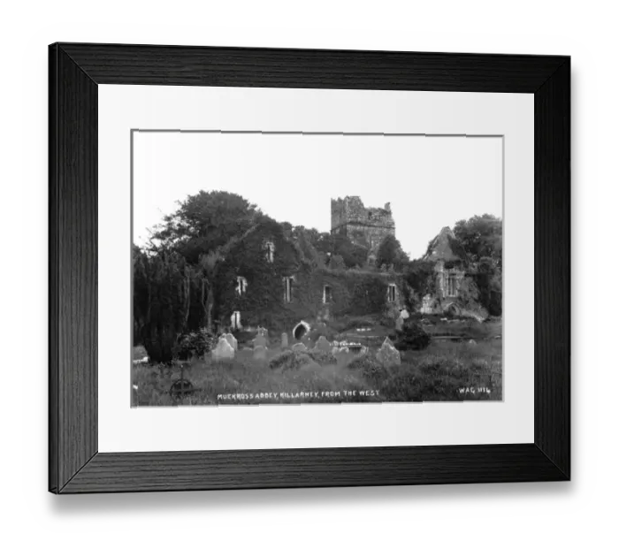 Framed Print : Muckross Abbey, Killarney, from the West Framed Print : Muckross Abbey, Killarney, from the West