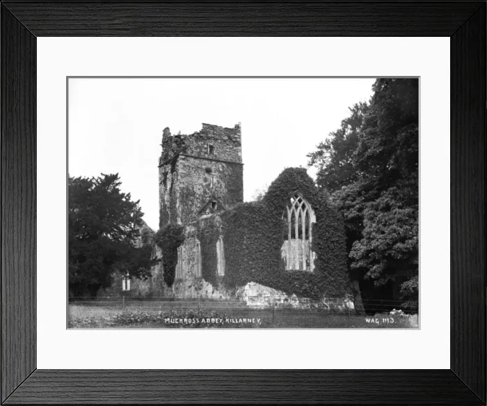 Framed Print : Muckross Abbey, Killarney Framed Print : Muckross Abbey, Killarney